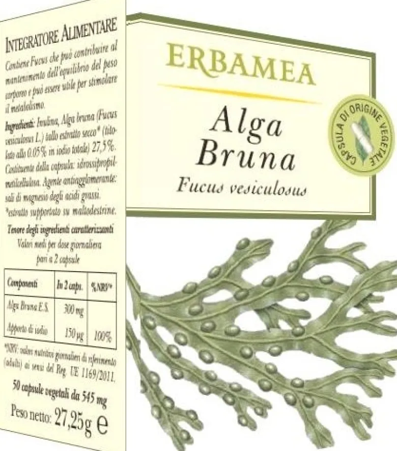 ALGA BRUNA