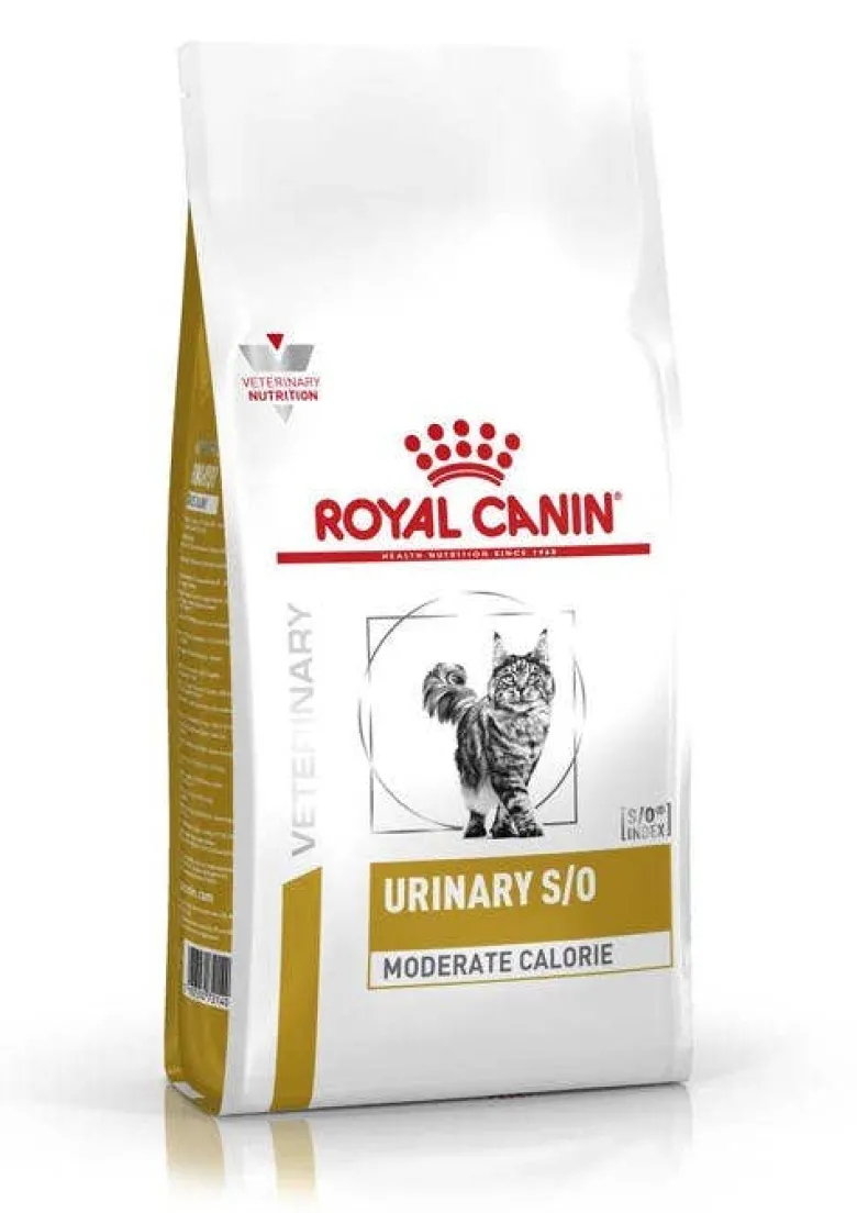 Alimento Dietetico Completo Per Gatti
