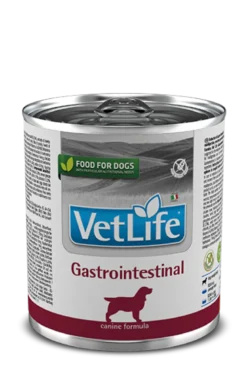 Alimento Umido Per Cani Supporto Intestinale