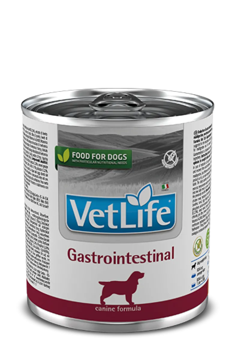 Alimento Umido Per Cani Supporto Intestinale