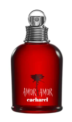 Amor Amor