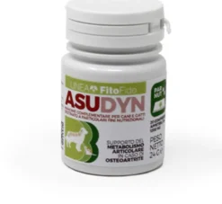 ASUDYN