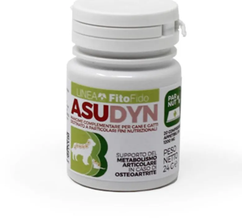 ASUDYN