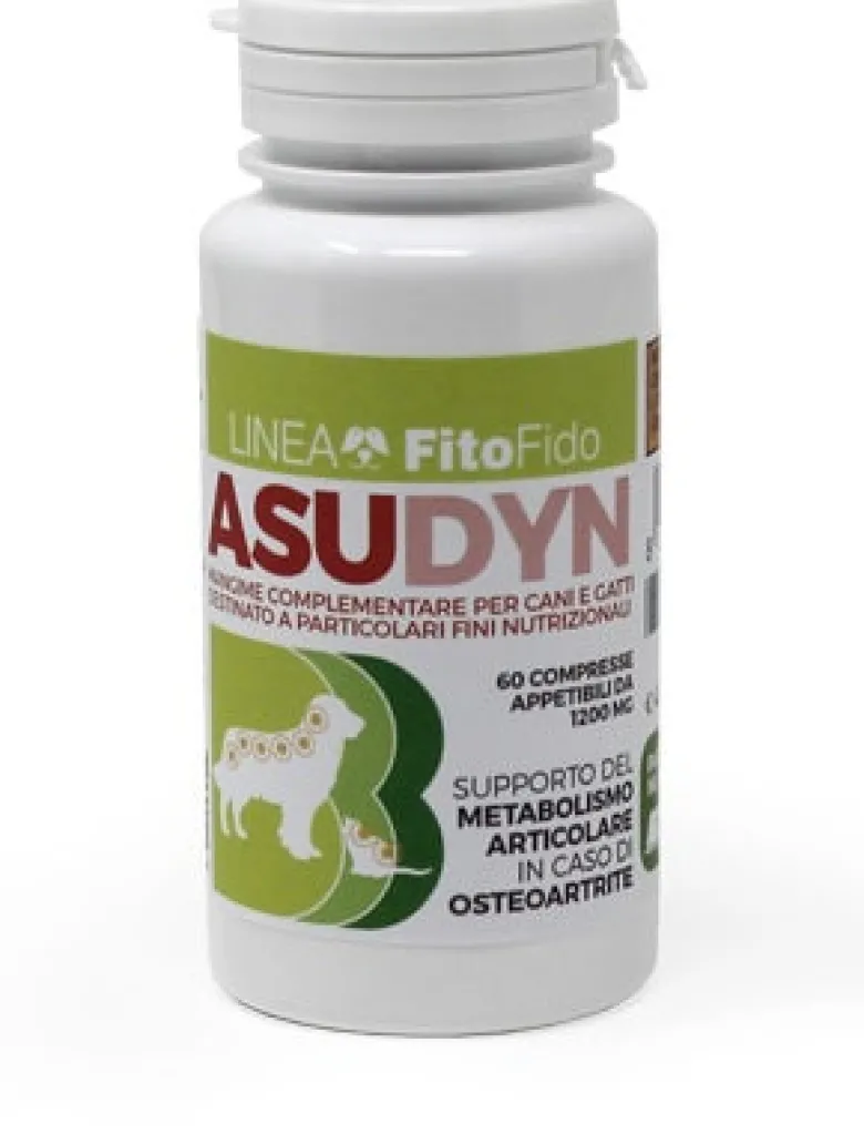 ASUDYN