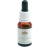 Australian Banksia Robur gocce 15ml