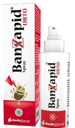 Banzapid Spray Trattamento 100ml
