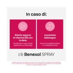 Benexol Spray Integratore alimentare di Vitamina B12 ad Alto Dosaggio con Edulcorante Flacone da 15ml