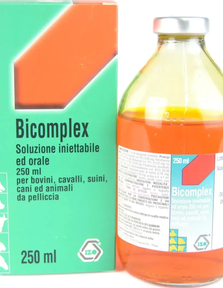 Bicomplex EV IM SC OS Soluzione Flacone 250ml