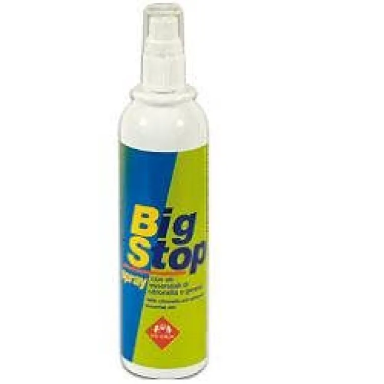 Big Stop