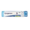 Boiron Pyrogenium 9CH Medicinale Omeopatico granuli 4g
