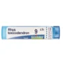 Boiron Rhus Toxicodendron 9CH medicinale omeopatico granuli 4g