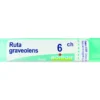 Boiron Ruta Graveolens 06Ch Tubo 80 Granuli 4g
