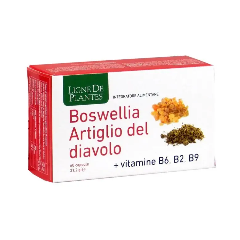 Boswellia Artiglio del diavolo
