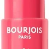 Bourjois Healthy Mix Clean Lip Sorbet 04 Scoop'ink 7g