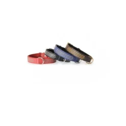 Camon Collare Con Borchiette Per Cani Colore Blu 30x600mm