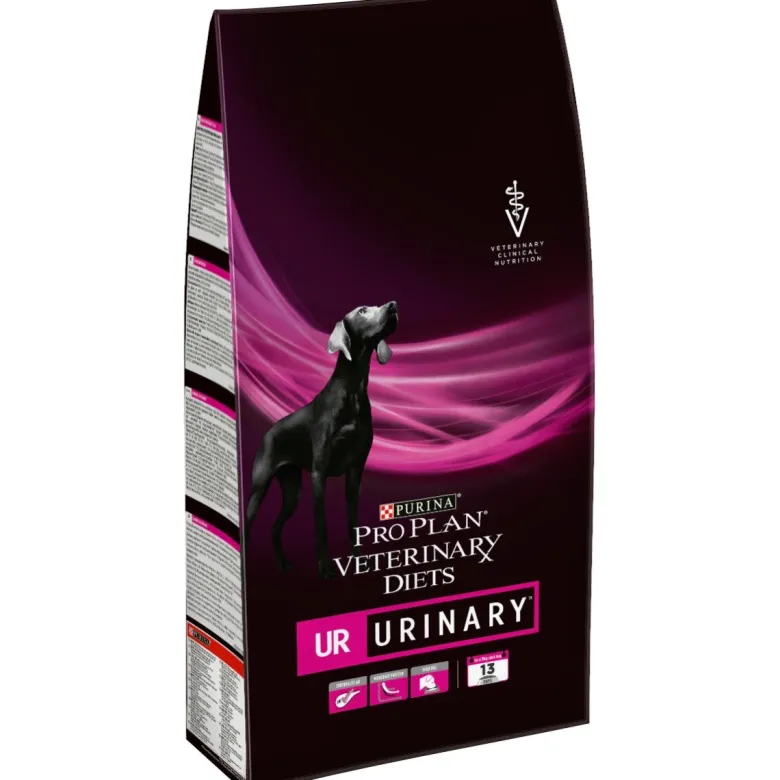 Canine UR Urinary