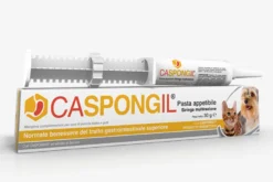 Caspongil Pasta