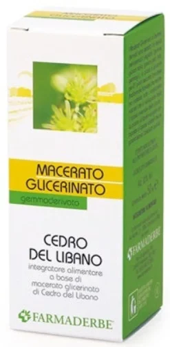 CEDRO DEL LIBANO