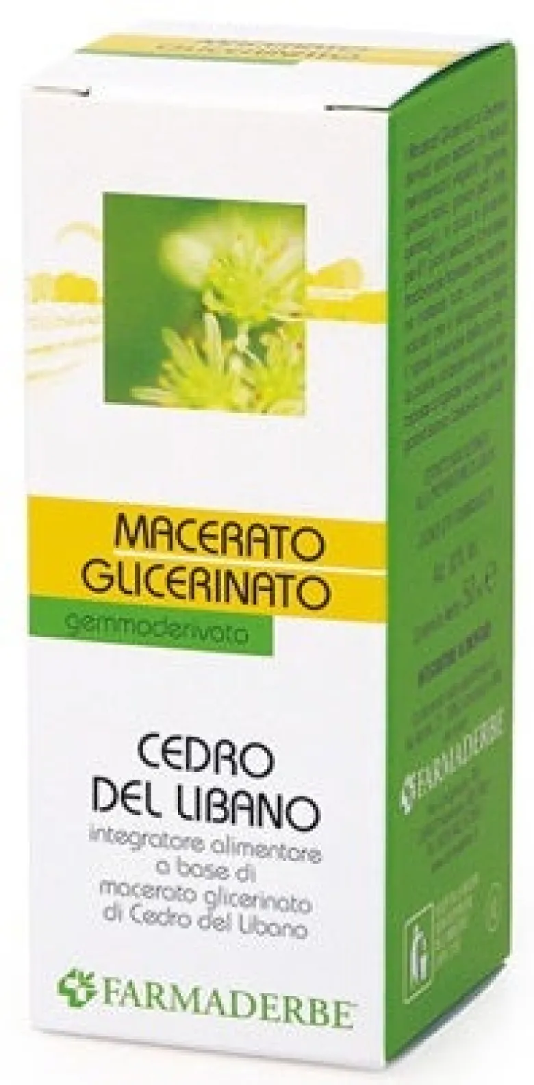 CEDRO DEL LIBANO
