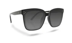 Celebrity Sunglasses Collection