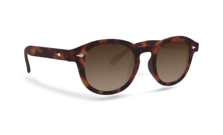 Celebrity Sunglasses Collection