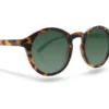 Celebrity Sunglasses Collection