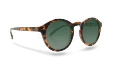 Celebrity Sunglasses Collection