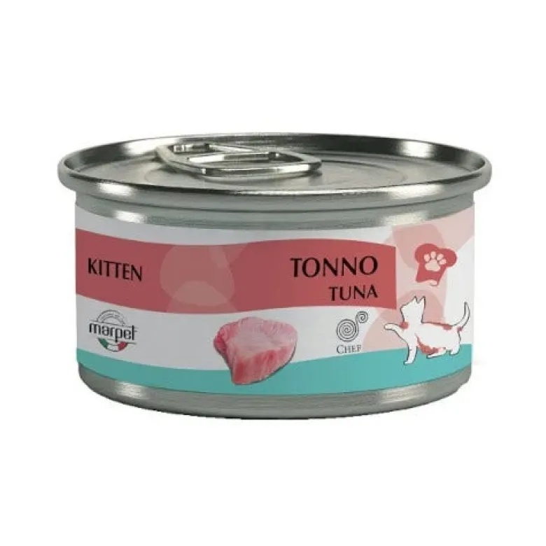 Cibo Umido Per Gattini