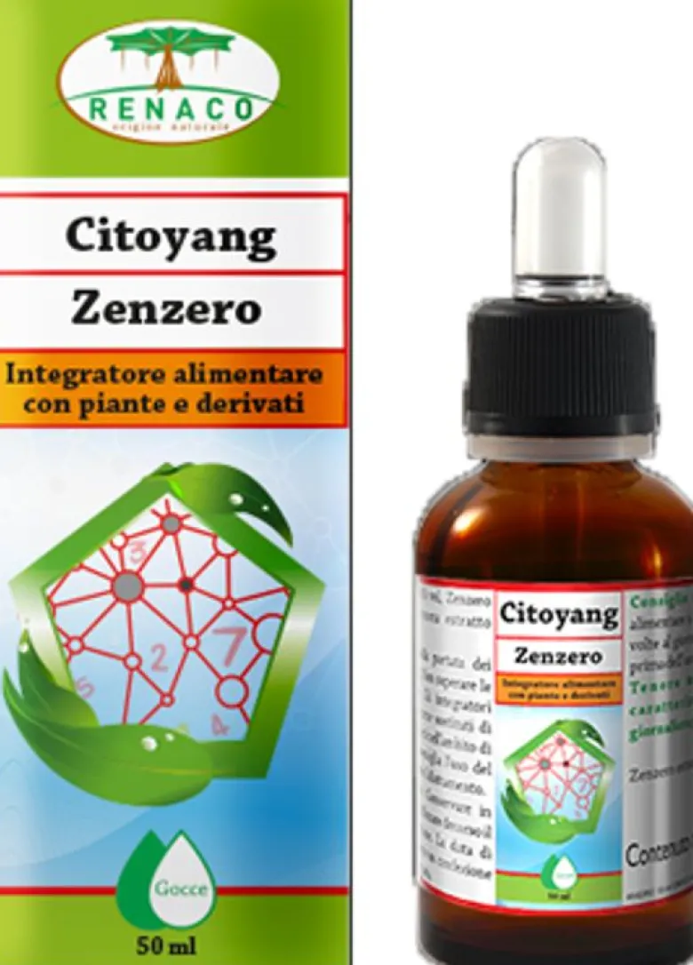 Citoyang Zenzero