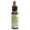 Di Leo Fiori di Bach 36 Wild Oat 10 ml