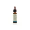 Di Leo Fiori Di Bach Wild Rose 10ml