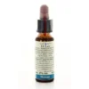 Di Leo Walnut 10ml
