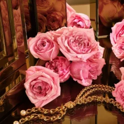 Dolce&Gabbana The One GoldEau de Parfum Intense