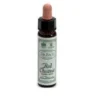 DR.BACH    Red Chestnut   Ainsworths