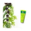 Dr Theiss Allga San Balsamo Trattante Per I Piedi 100ml
