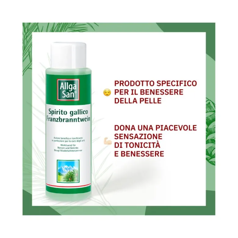 Dr Theiss Allga San Spirito Gallico Gambe indolenzite 250ml
