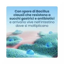 Enterogermina 2 Miliardi Fermenti Lattici Probiotici per Disturbi Intestinali 20 Fiale