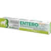 Enterolact Pasta Siringa 15g