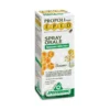 Epid Propoli Plus Spray Orale con Erisimo 15 ml