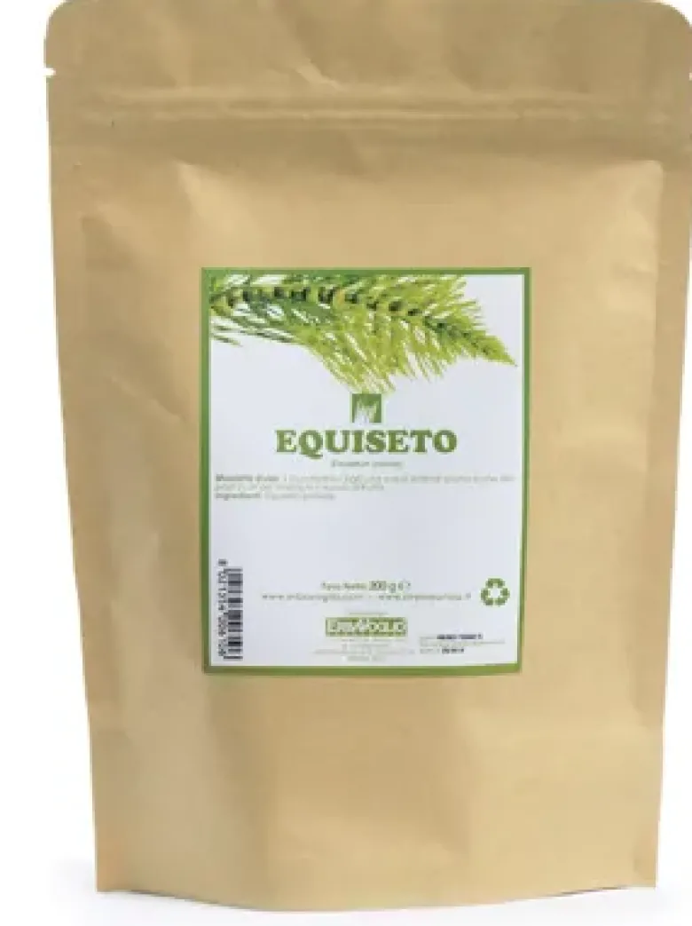 EQUISETO