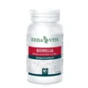 Erba Vita Boswellia Serrata apparato muscolo scheletrico 60 capsule