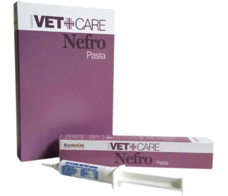 Eureka Nefro Vetcare complemento alimentare utile per cani e gatti anziani pasta 80g