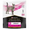Feline UR StOx Urinary