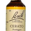 Fiori di Bach n.05 Cerato piombaggine 20ml