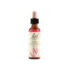 Fiori di Bach n.30 Sweet Chestnut castagno comune 20ml