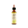 Fiori di Bach n.35 White Chestnut ippocastano bianco 20ml
