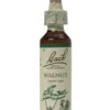 Fiori di Bach n.33 Wild Walnut noce 20ml