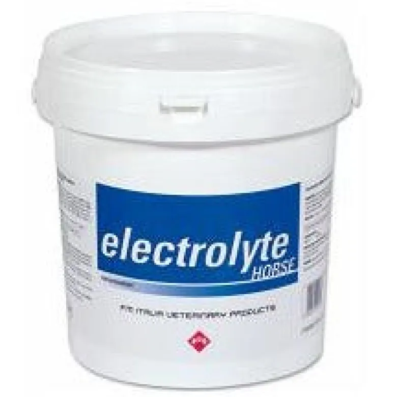 FM Italia Electrolyte Horse Os Polvere Per Equini 3kg