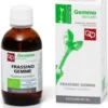 Frassino Macerato Glicerinato Bio 50ml