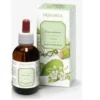 Ginkgo Biloba